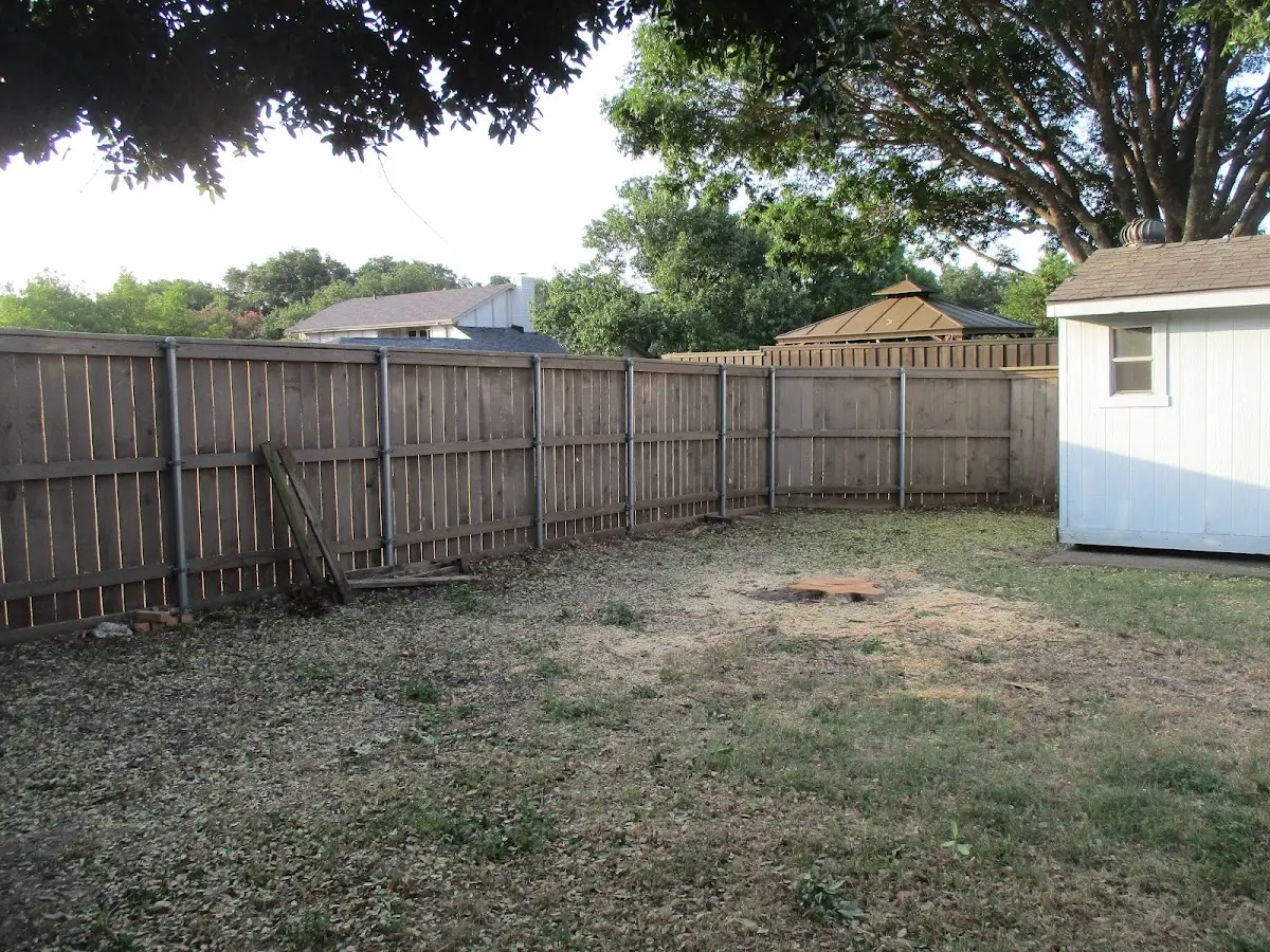 Cleared yard after professional tree removal in San Simeon